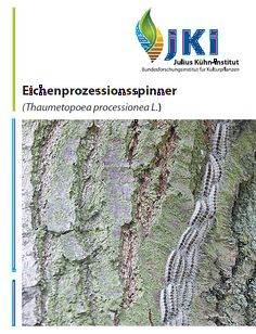 Jki faltblatt eps.jpg
