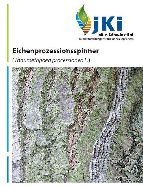 Datei:Jki faltblatt eps.jpg
