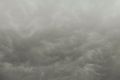 CLOUD Web.jpg
